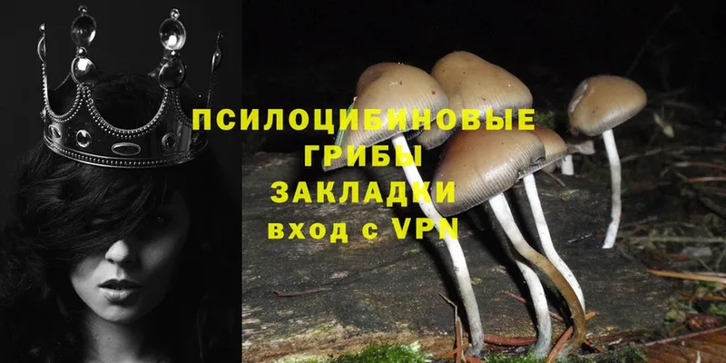 Псилоцибиновые грибы Psilocybine cubensis  Белый 